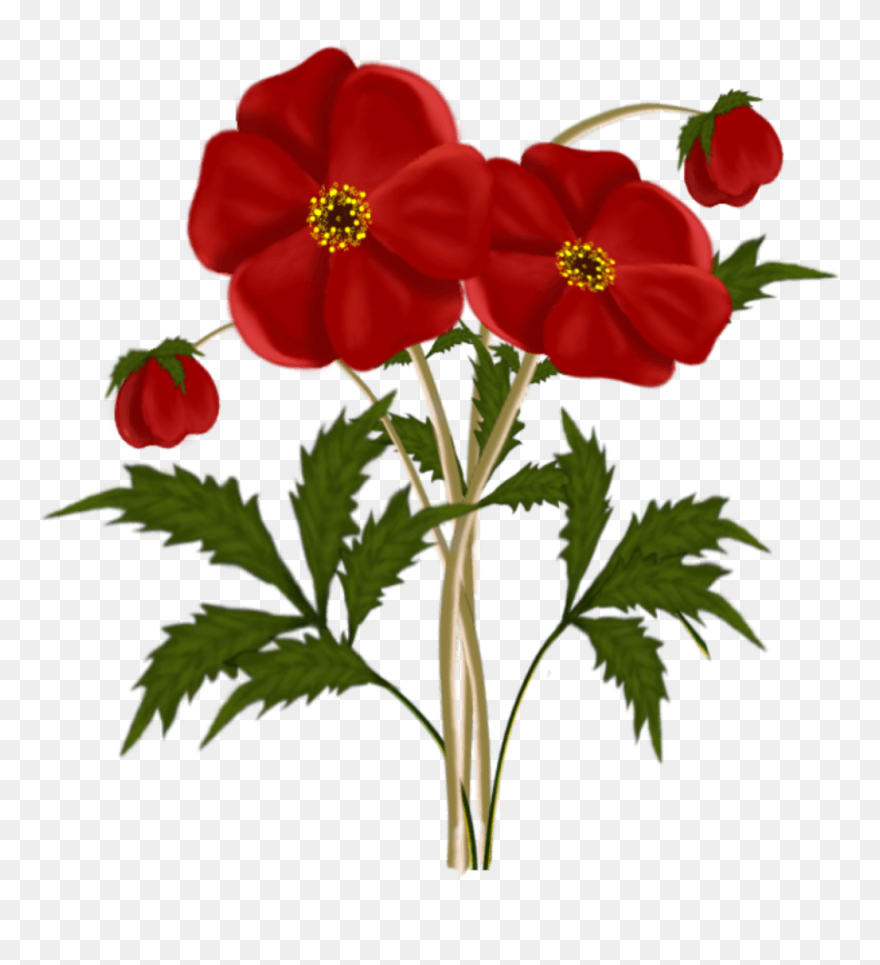 Frames & Png Red Flowers Clipart - Red Flowers Transparent Png