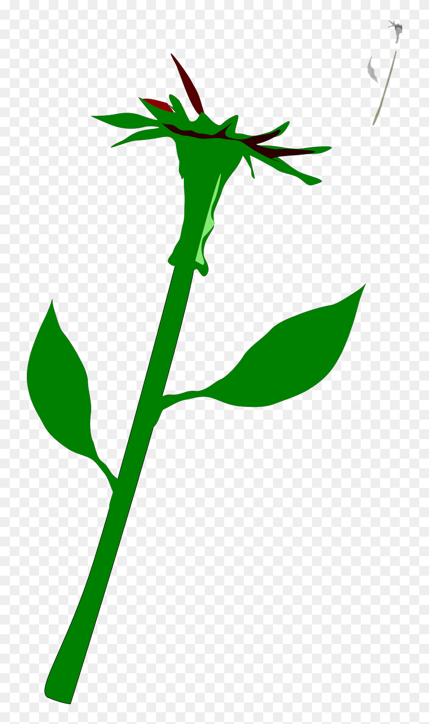 Stalk Of Flower Clipart