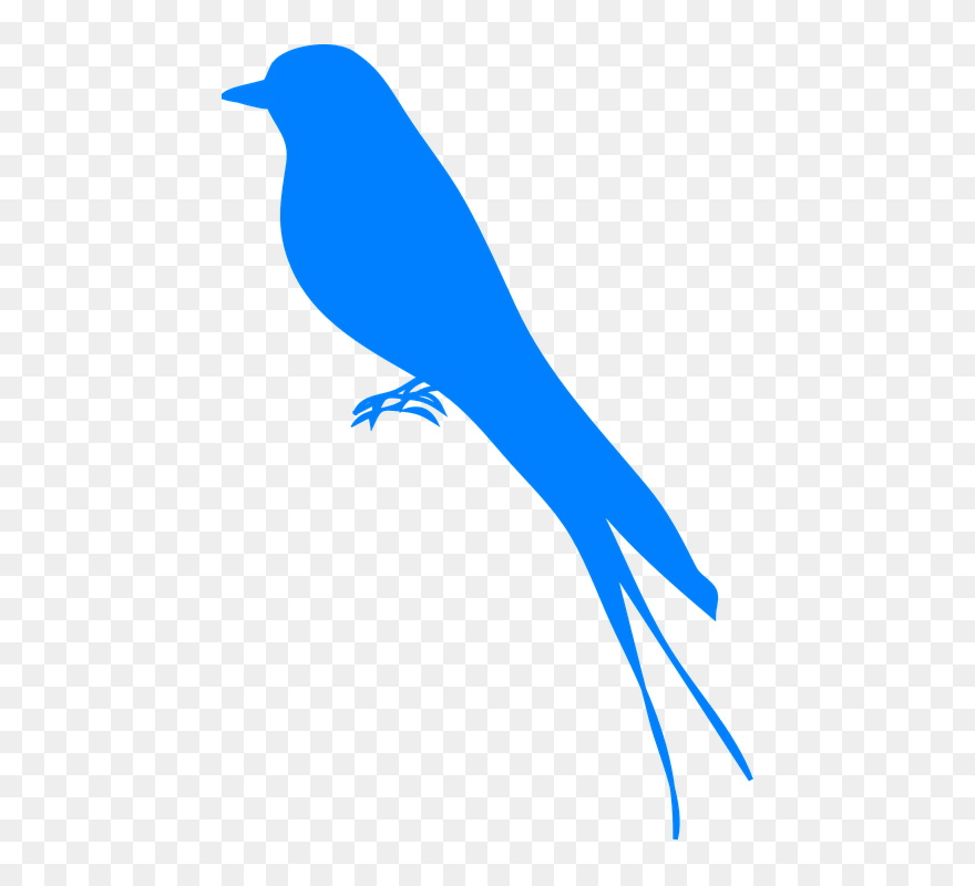 Bluebird Clipart Swift Bird - Bluebird Silhouette - Png Download