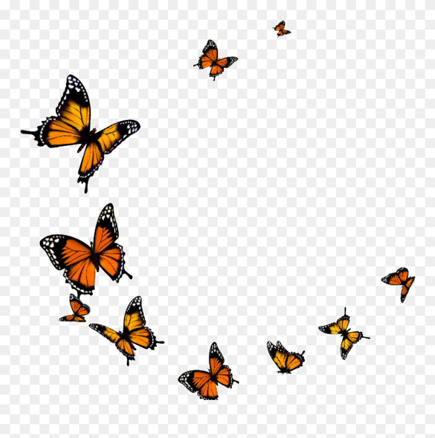 Transparent Background Butterfly Png, Png Download - Flying Butterflies Transparent Background Clipart
