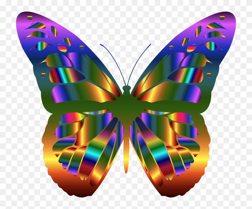 Real Rainbow Butterfly Clipart
