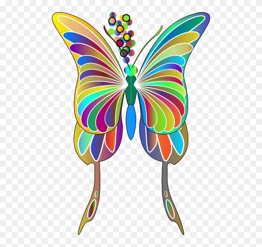 Butterfly,line,symmetry - Butterfly Clipart Swallow Tail - Png Download