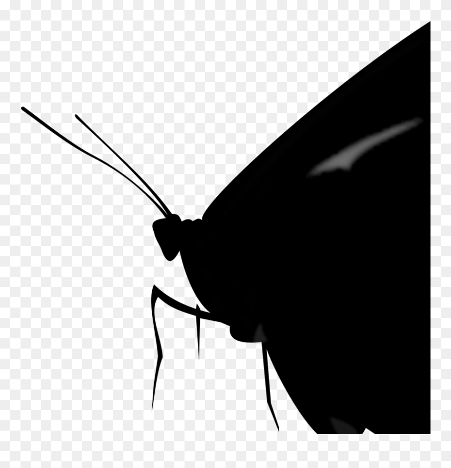 Monarch Butterfly Clip Art, Icon And Svg - Butterfly - Png Download