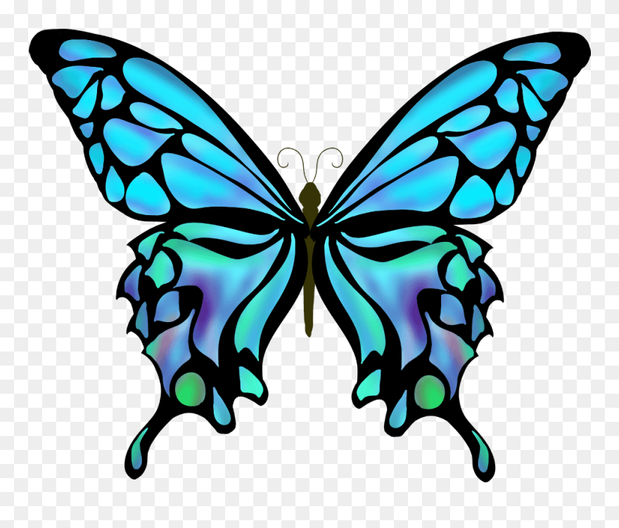 Drawing Butterfly Pictures With Color Clipart