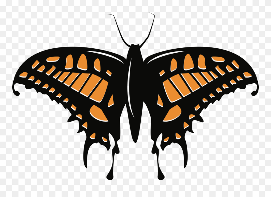 Butterfly,emperor Moths,brushfooted Butterfly - Papilio Machaon Clipart