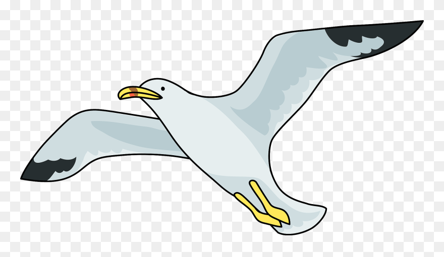 Clip Art - Png Download