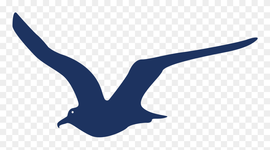 Bird Fleas Png Download - Silhouette Seabirds Clipart