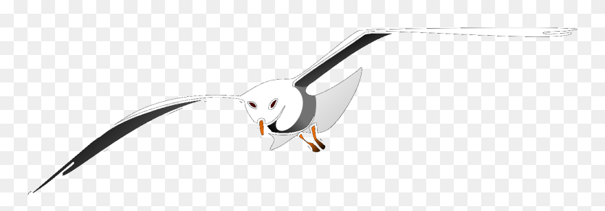 Seagull Clip Art - Png Download