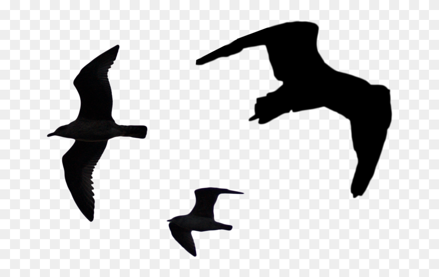 Seagull Silhouette Png - Png Bird Silhouette Clipart