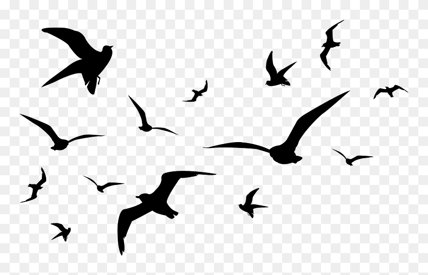 Seagulls Birds Silhouette Clipart - 鳥 の 群れ イラスト - Png Download