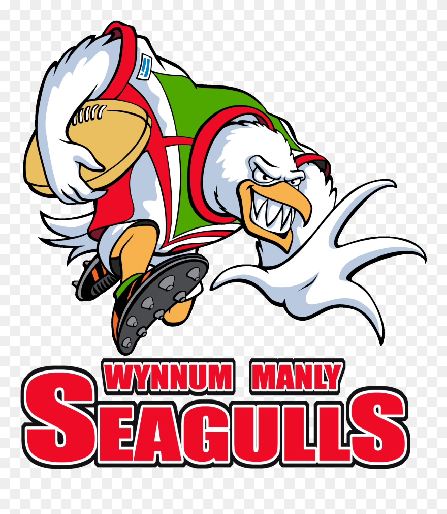 Logopedia - Wynnum Manly Seagulls Logo Clipart
