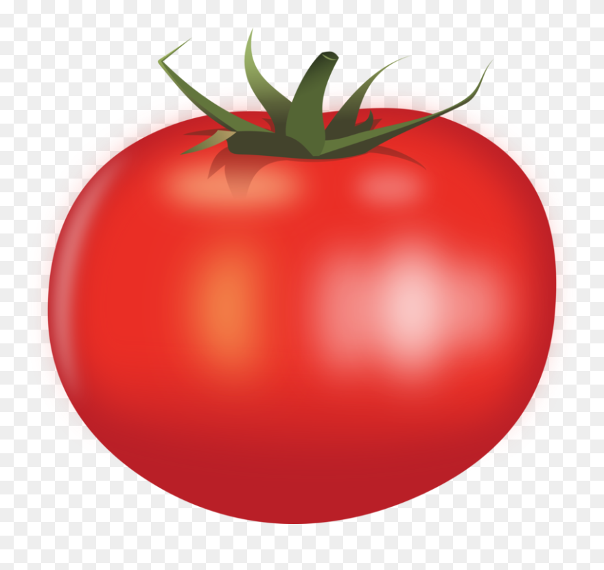 Tomato,plant,bush Tomato - Gambar Tomat Png Clipart