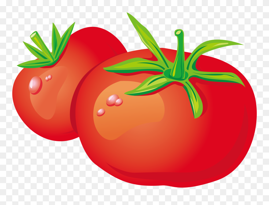 Bush Clipart Vegetable Plant - Tomato Clipart - Png Download