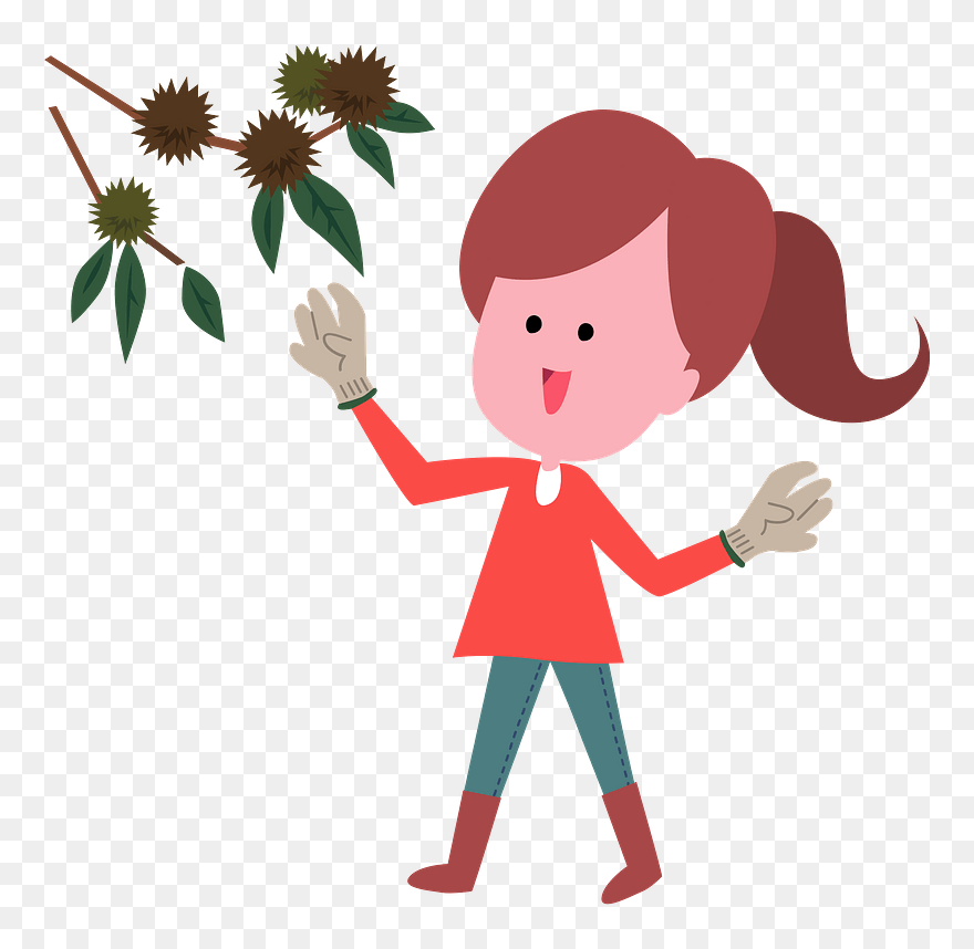 Japanese Chestnuts Woman Clipart - 栗 拾い フリー 素材 - Png Download