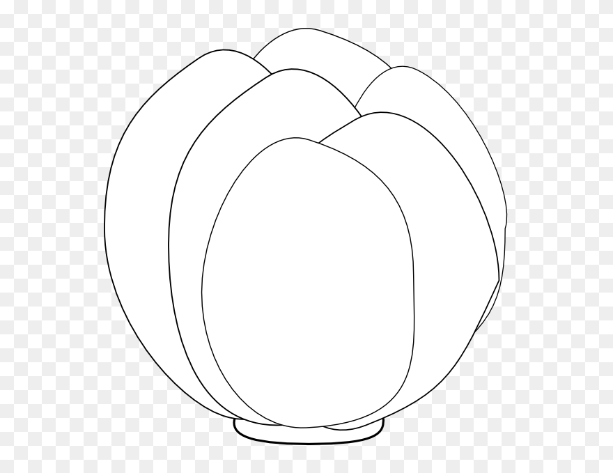 Circle Clipart