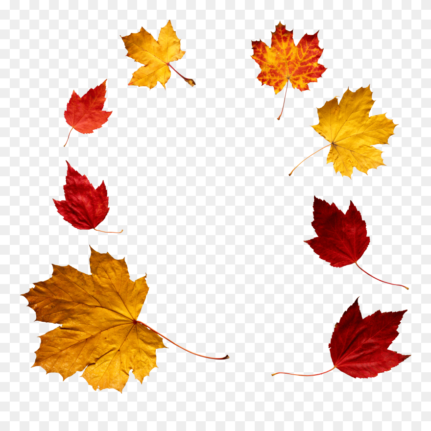 Leaf Circle Png - Overlay Falling Leaves Png Clipart