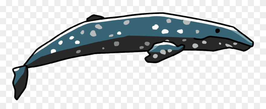 Humpback Whale Clipart Scribblenauts - Portable Network Graphics - Png Download