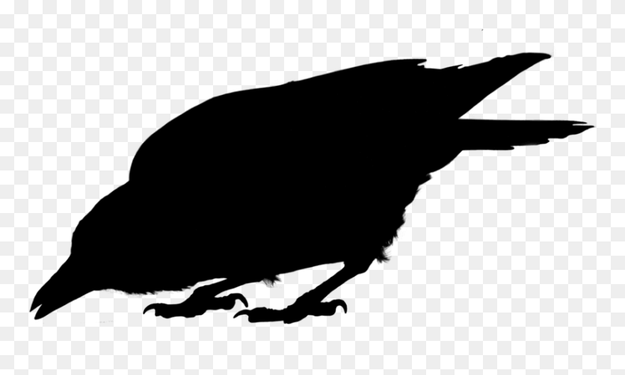 American Crow Common Raven Fauna Silhouette - Fish Crow Clipart