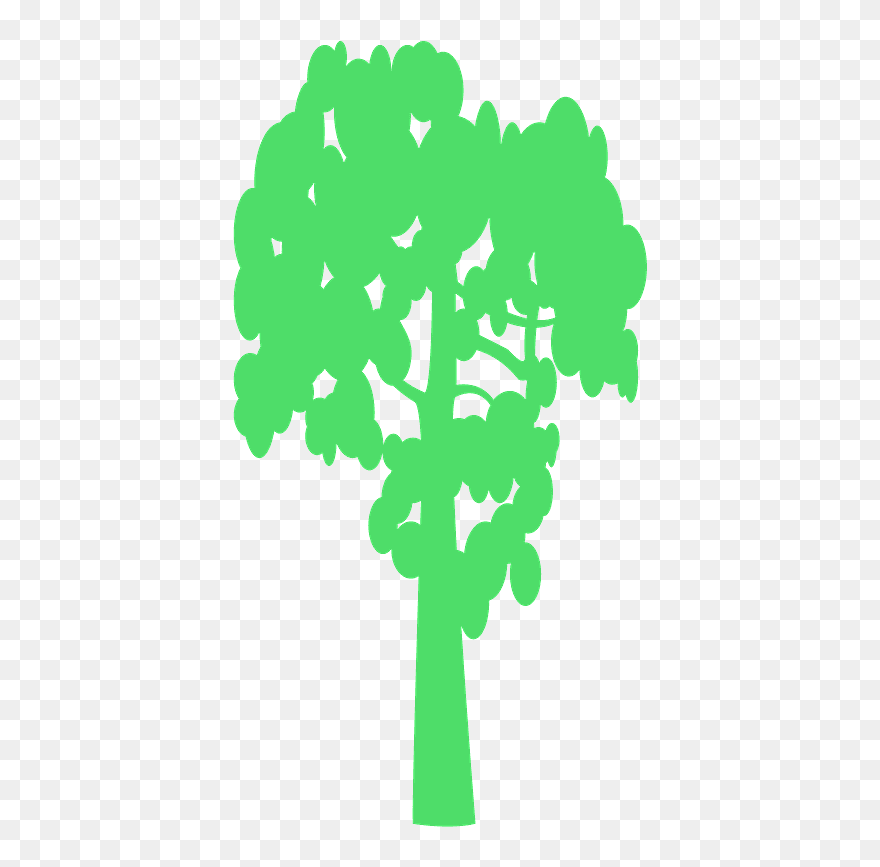 Tree Clipart