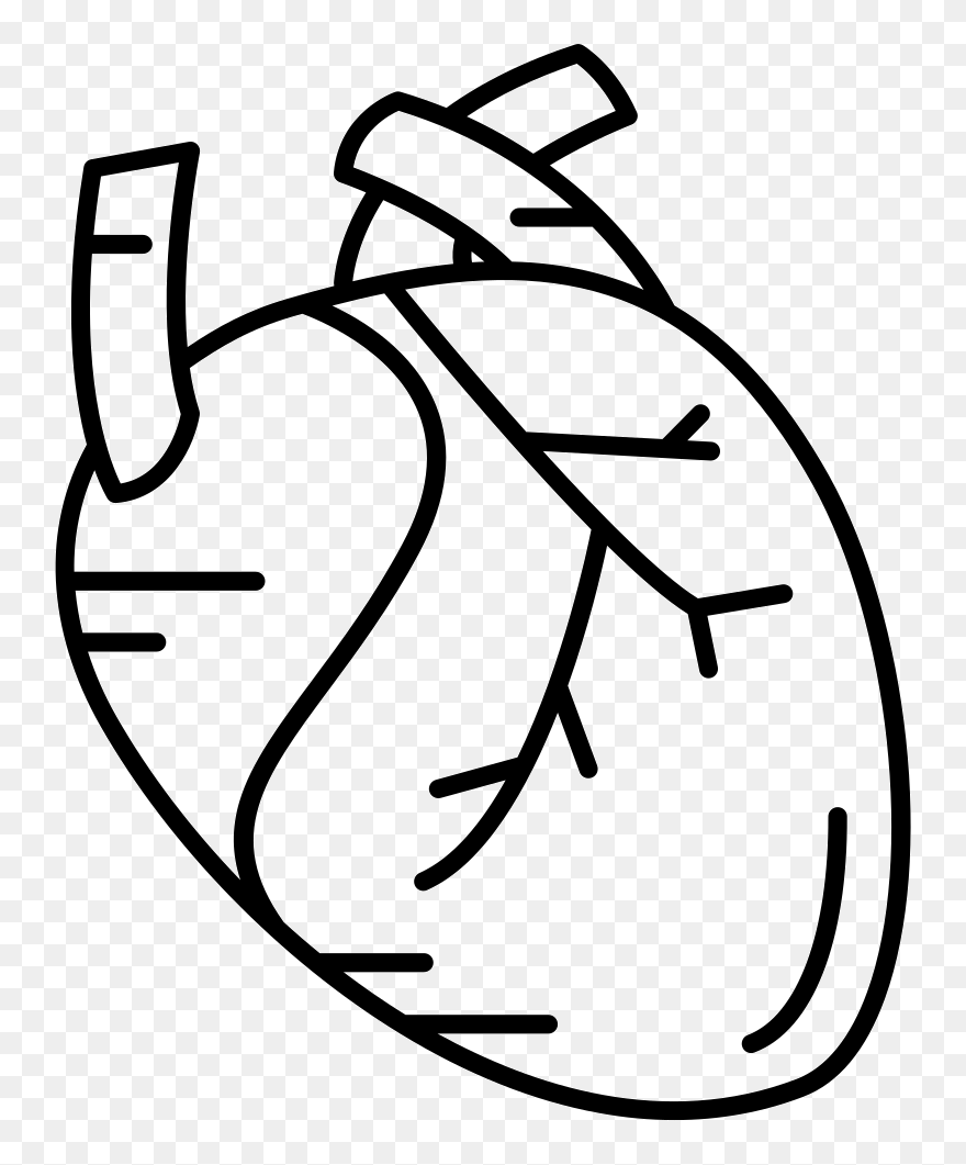 Human Heart - Human Heart Icon Png Free Clipart