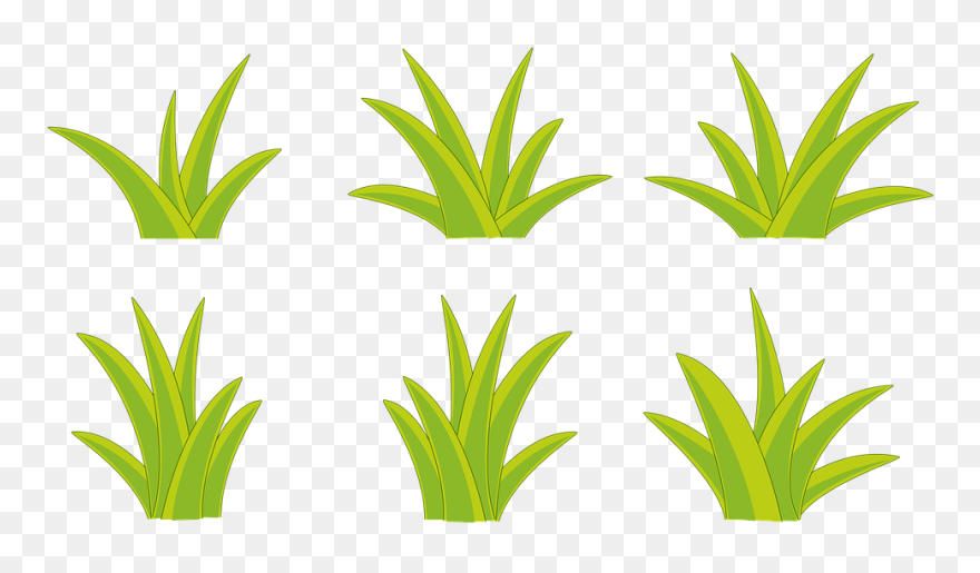 Bushes Clipart Flax - Png Download