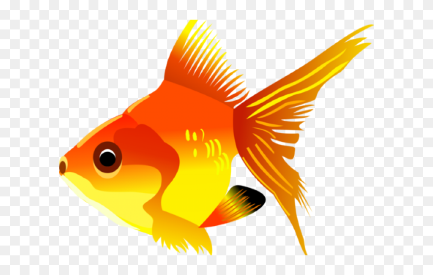 Tropical Fish Clipart Transparent Background - Transparent Background Fish Clipart - Png Download