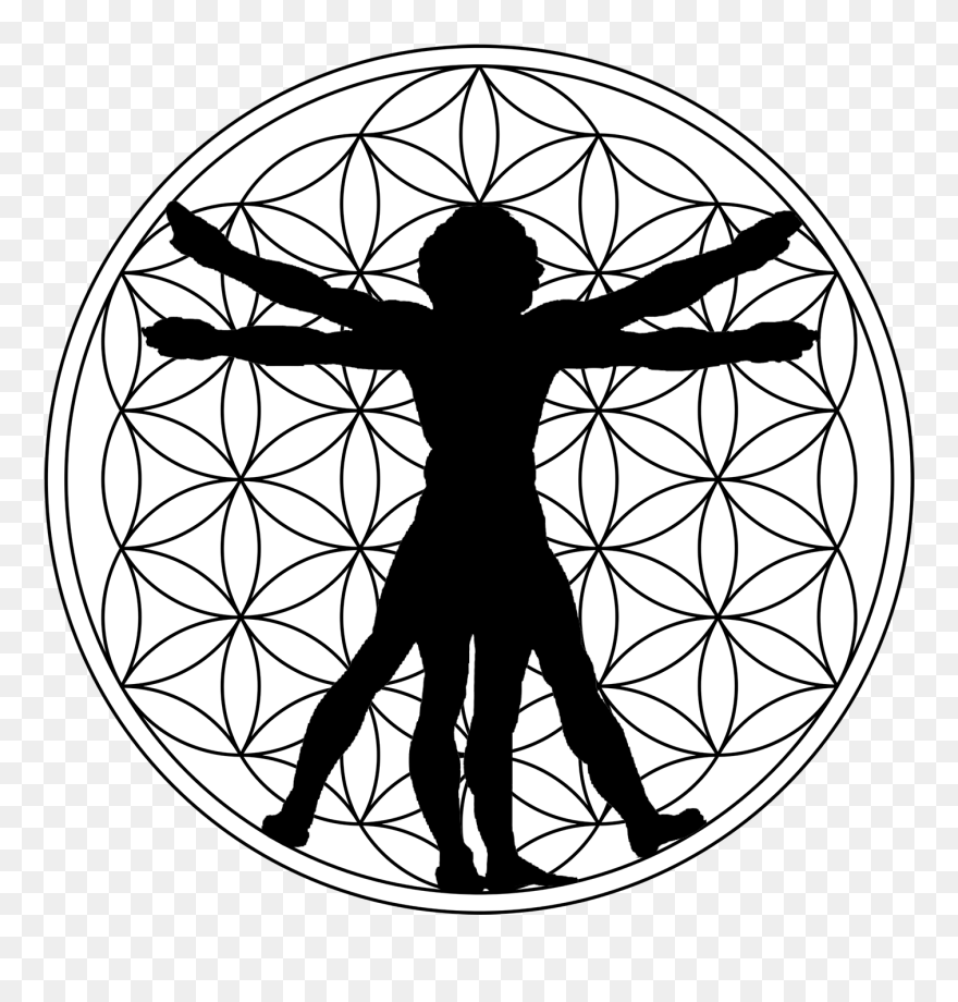 Transparent Merkaba Png - Vitruvian Man Silhouette Clipart