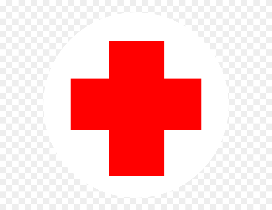 Transparent Endoplasmic Reticulum Clipart - National Museum - Png Download