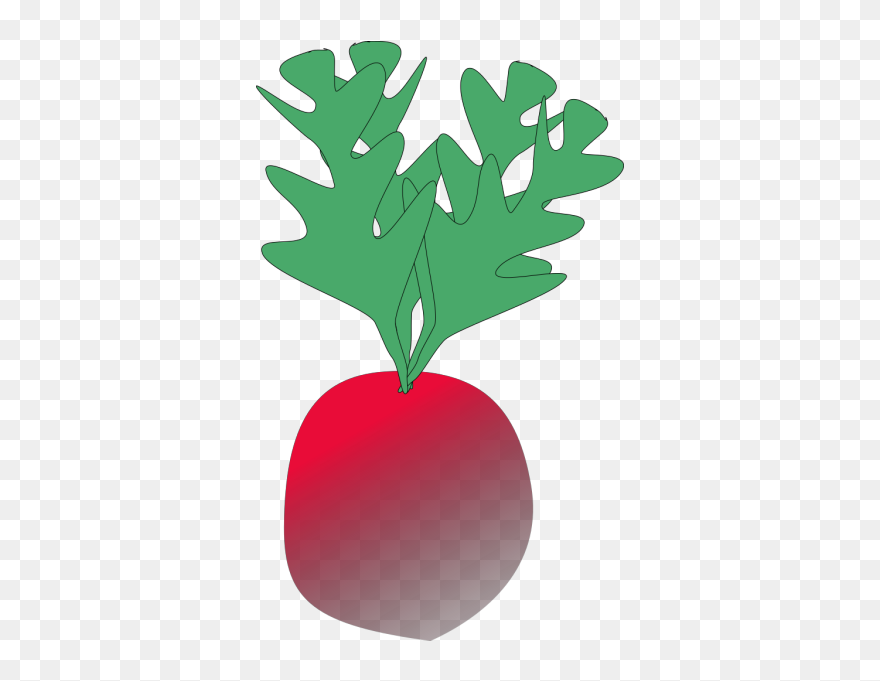 Radish 2 Png Images - Radish Clip Art Transparent Png