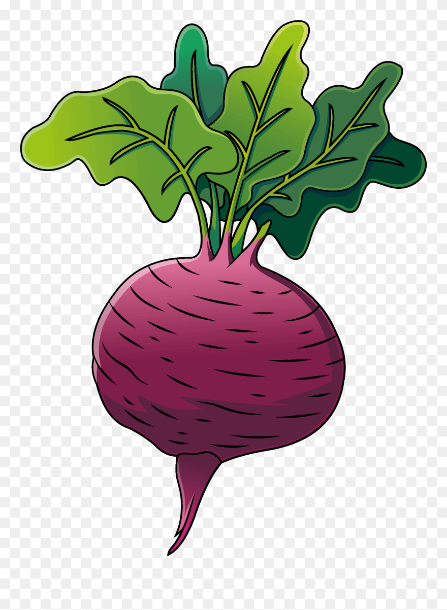 Beet Greens Clipart