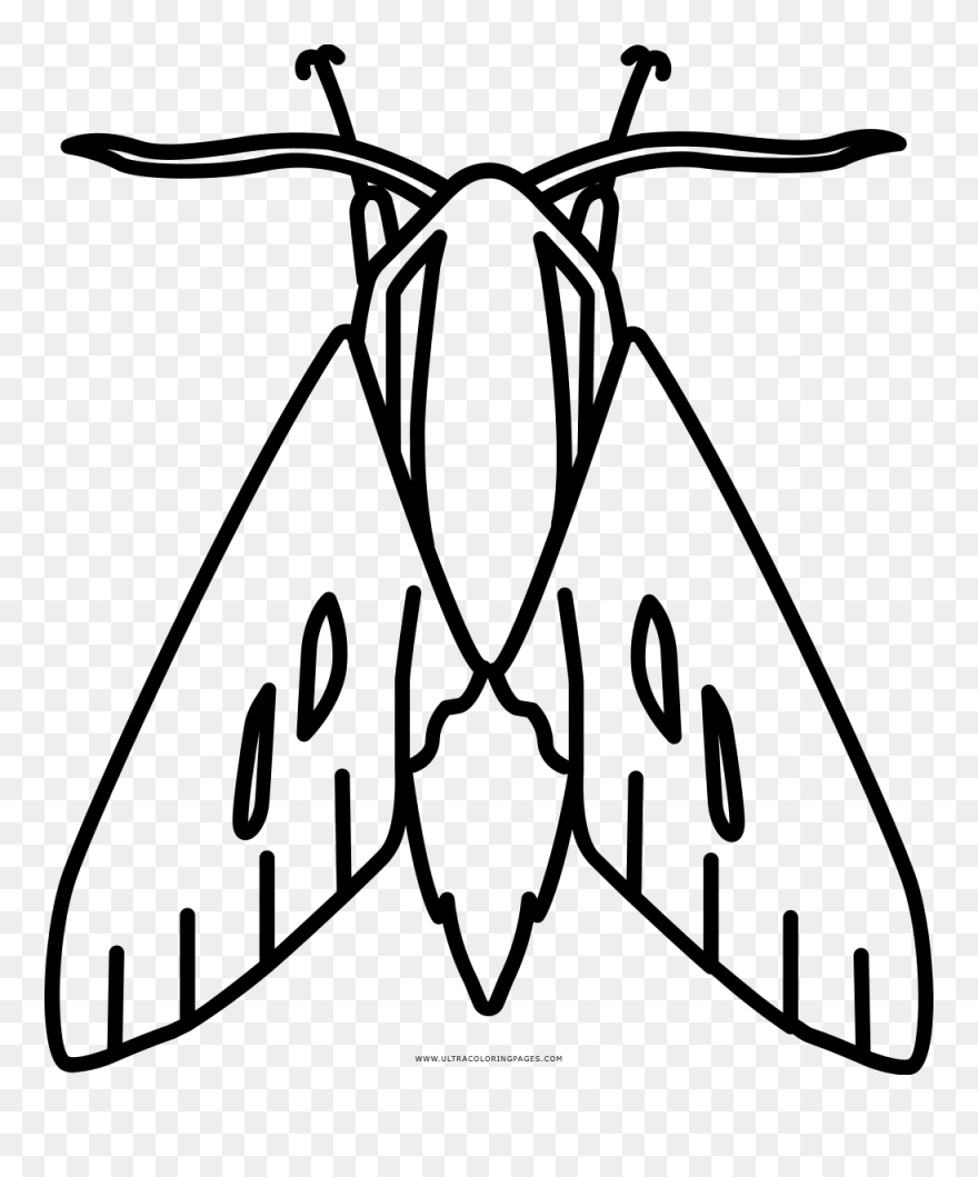 Transparent Cave Quest Clipart - Imagen De Polilla Para Colorear - Png Download