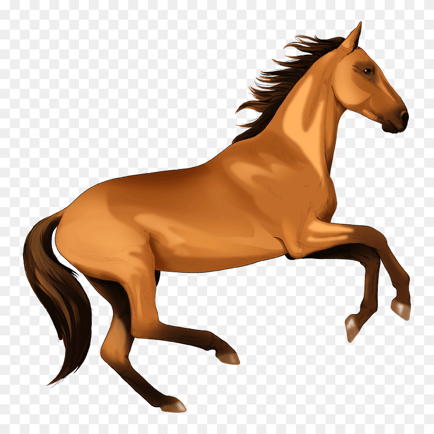 Akhal - Horse Clipart - Png Download