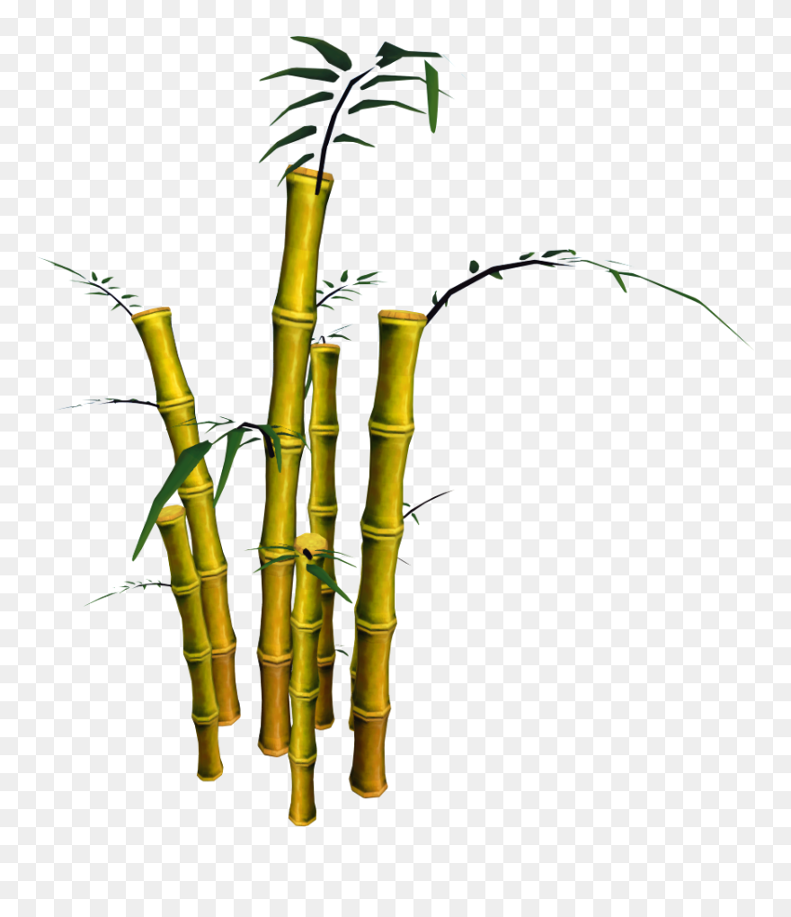 Transparent Bamboo Clipart - Bamboo Pngs