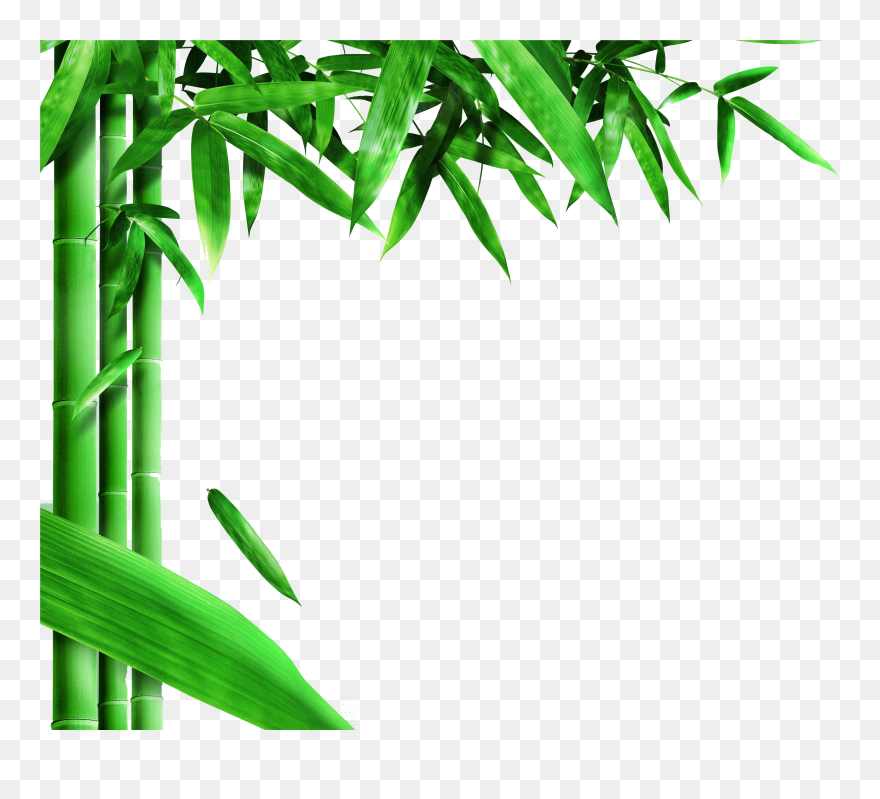 Transparent Bamboo Background Clipart - Png Download