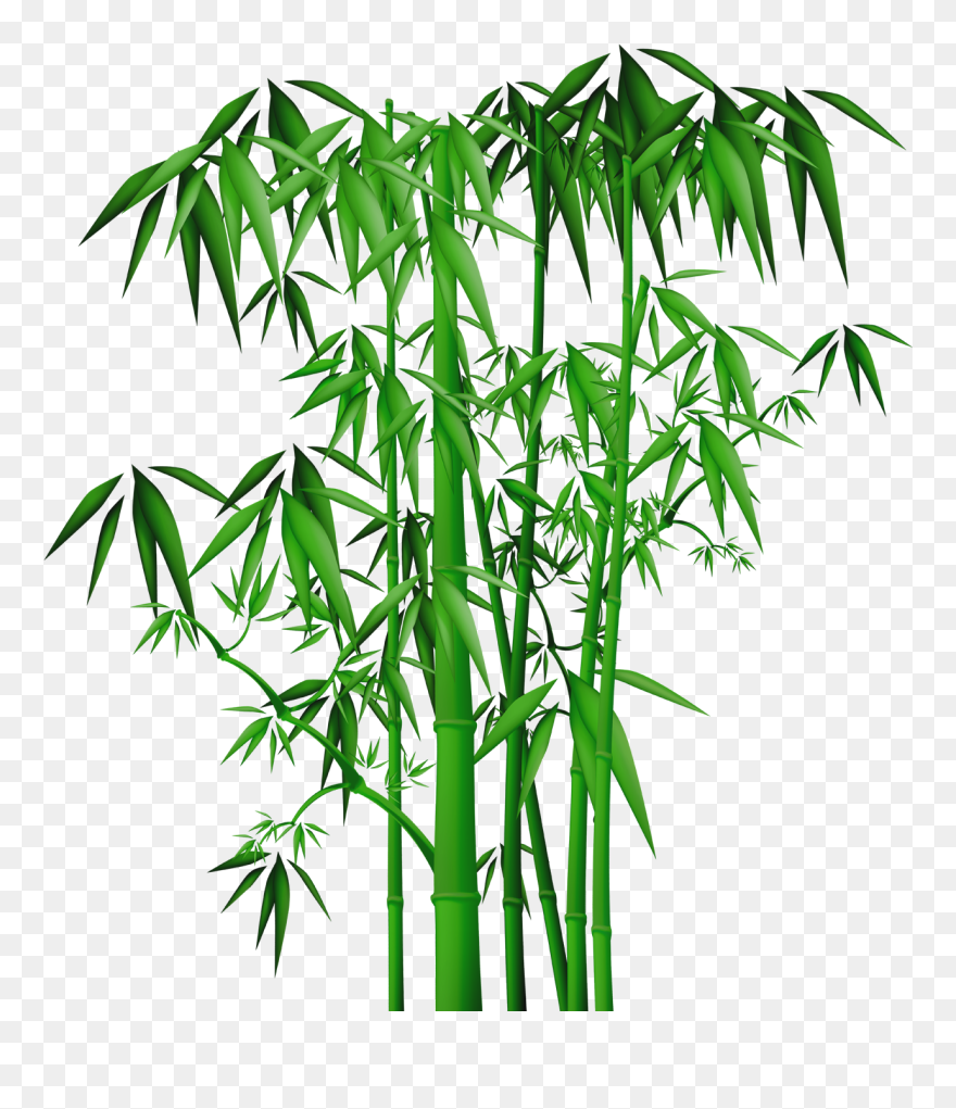 Bamboo Painting , Png Download - Bamboo Clipart Transparent Png
