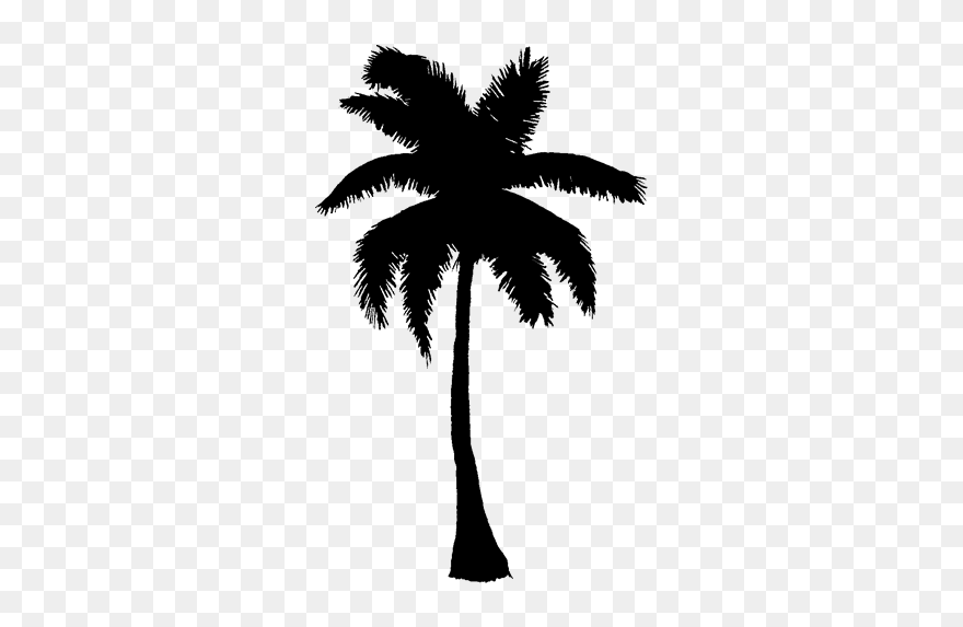 Asian Palmyra Palm Black & White - Black Palm Tree Clipart