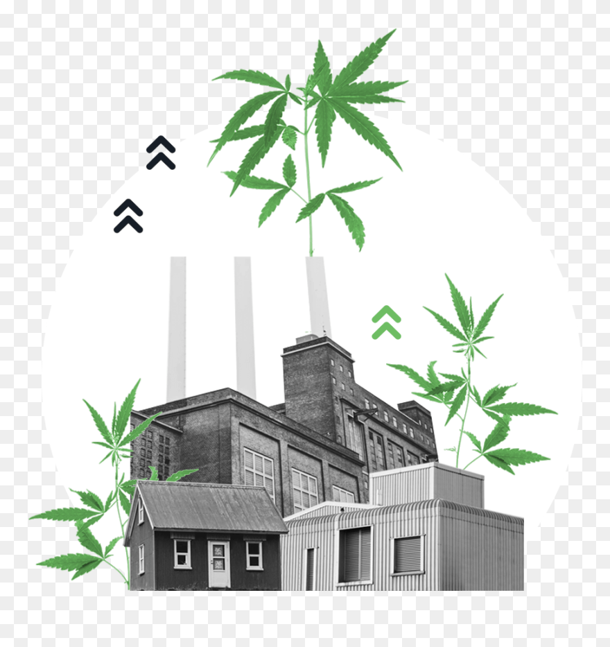 Weed Svg Peace - Illustration Clipart
