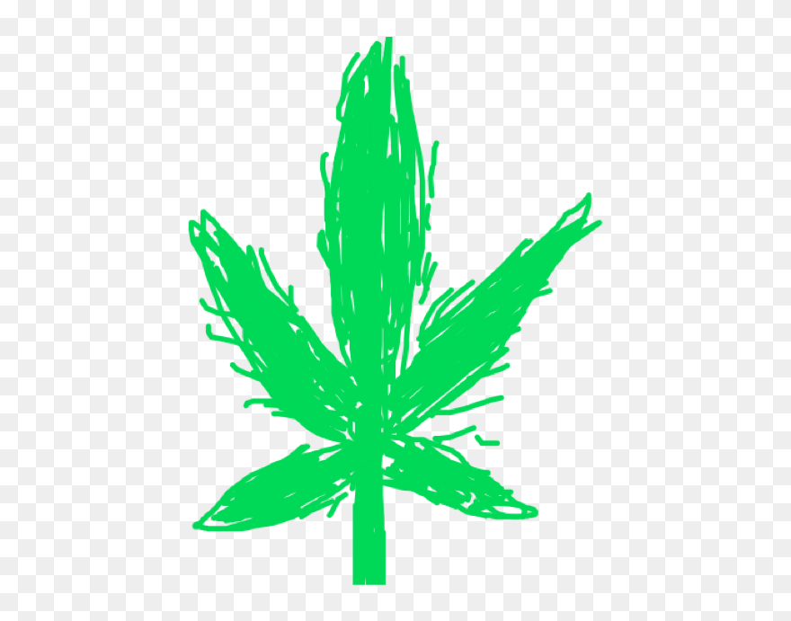 Illustration Clipart