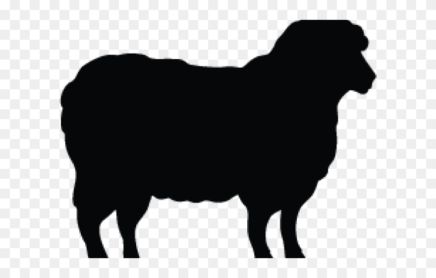 Goat Cattle Leicester Longwool Lincoln Sheep Texel - Sheep Silhouette Png Clipart