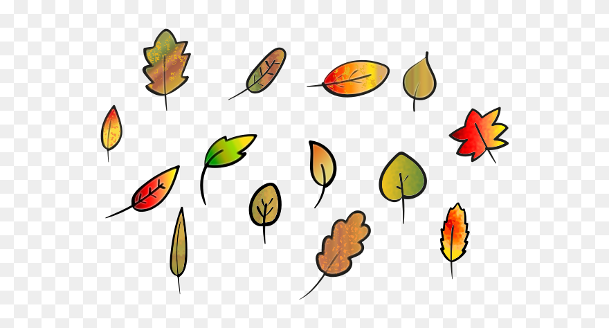 Leaves Set Autumn Colors - Illustration Clipart