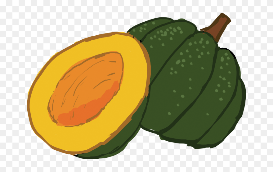 Cartoon Acorn Squash Transparent Clipart