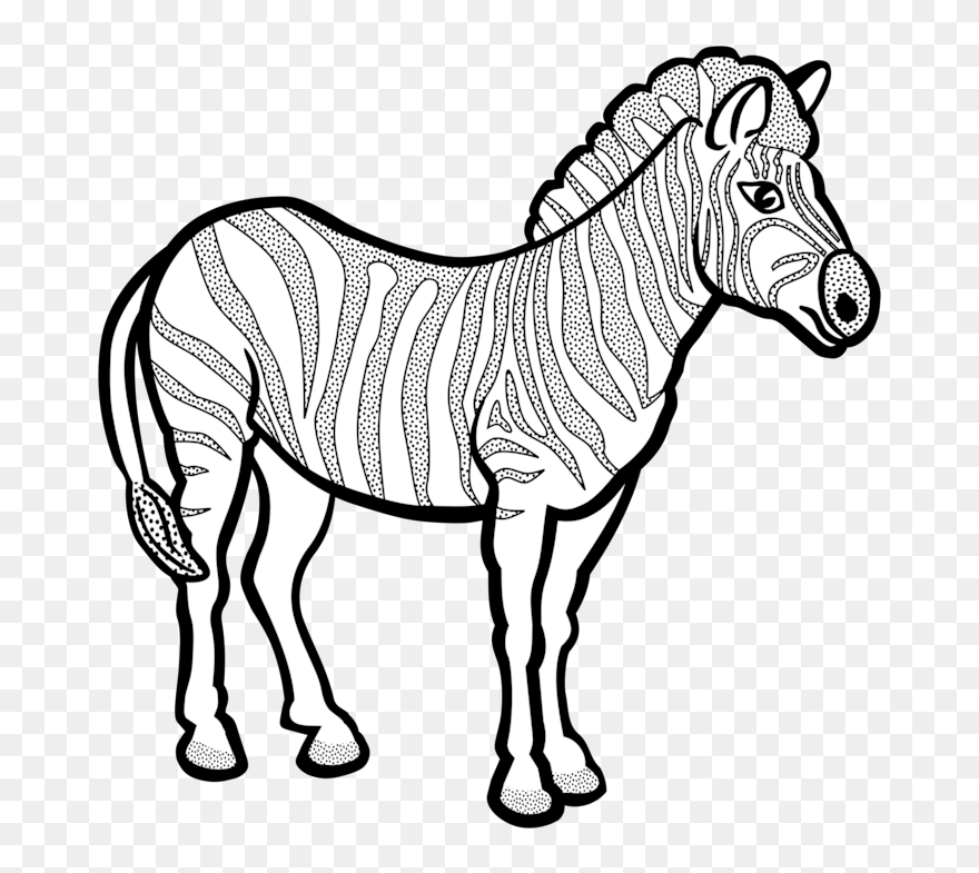 Zebra-lineart - Black And White Zebra Clipart - Png Download