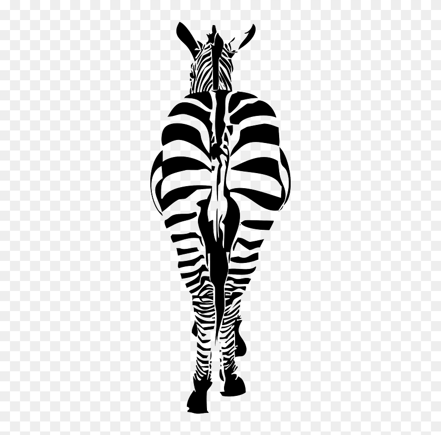 Zebra From A Rear Clipart - Eds Awareness Month 2019 - Png Download