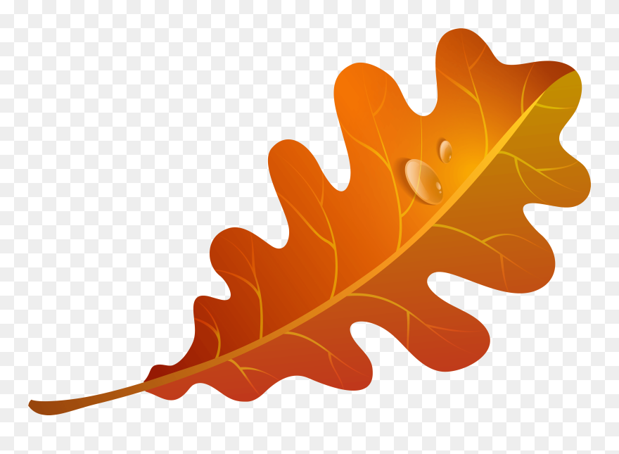 Download Clip Art Orange Leaves Clipart Free Download