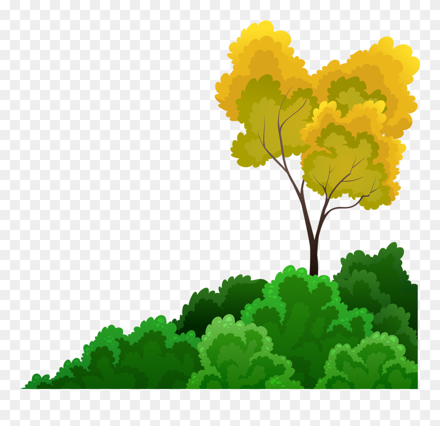 Arvores Vetor Clipart