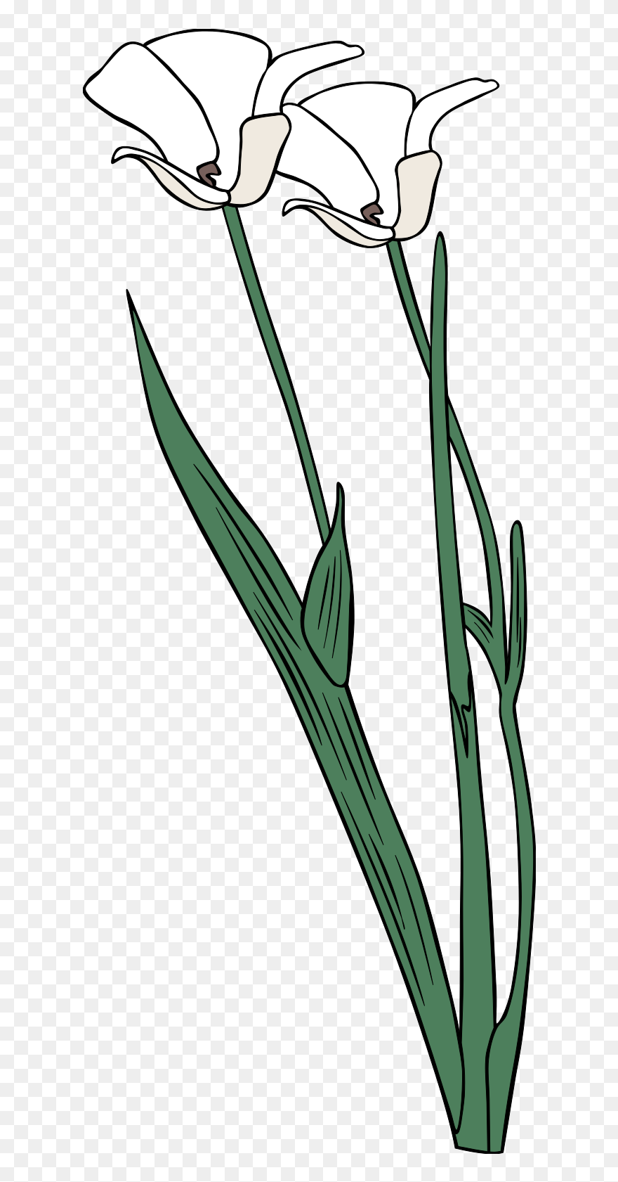 Flower Outline Clipart