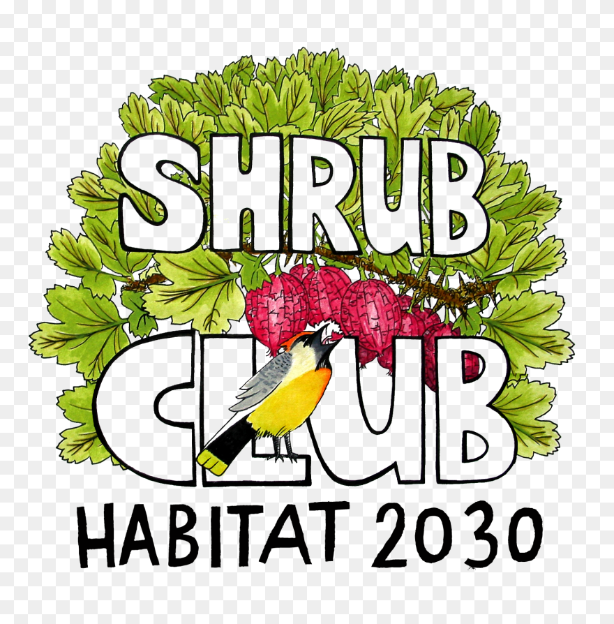 Shrub Club Clipart