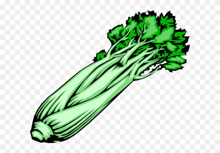 Celery Clipart - Png Download