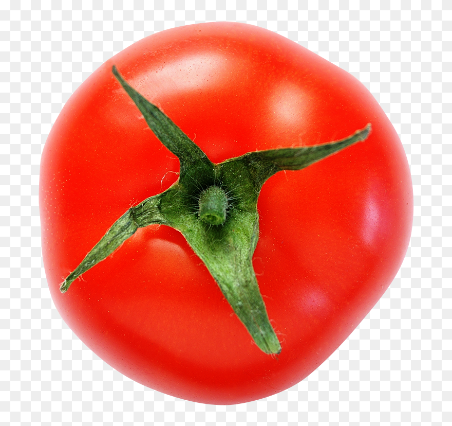 Tomato Clipart