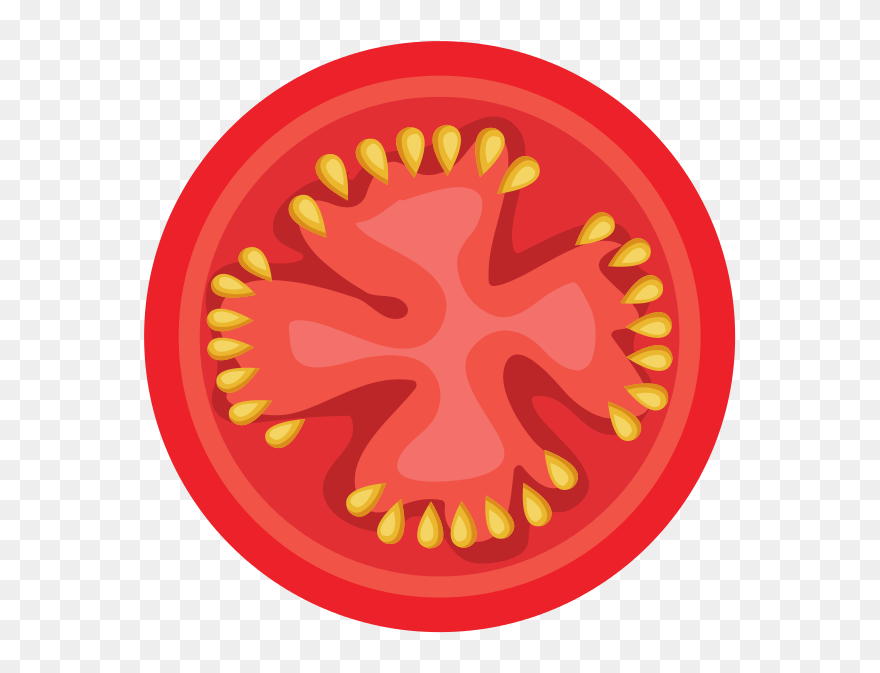 Drawing Of The Inside Of A Tomato - Circle Clipart